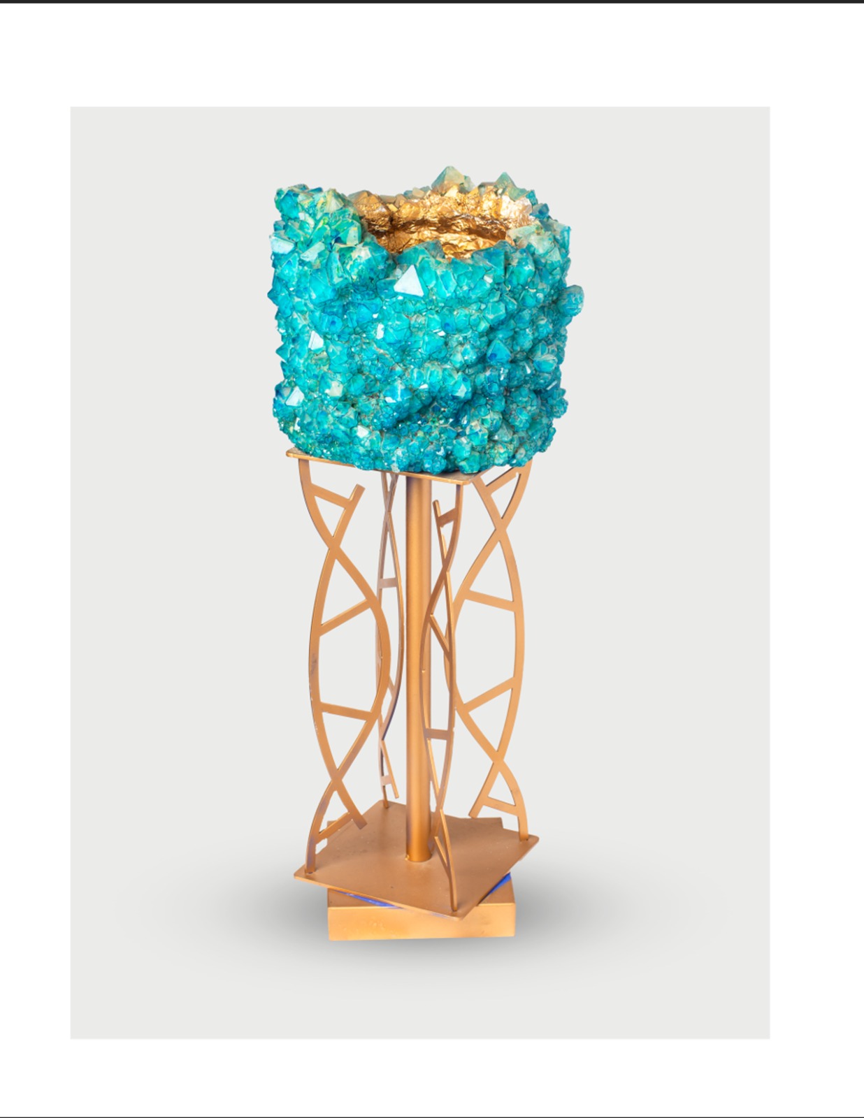 WhatsApp Image 2026-01-27 at 10.59