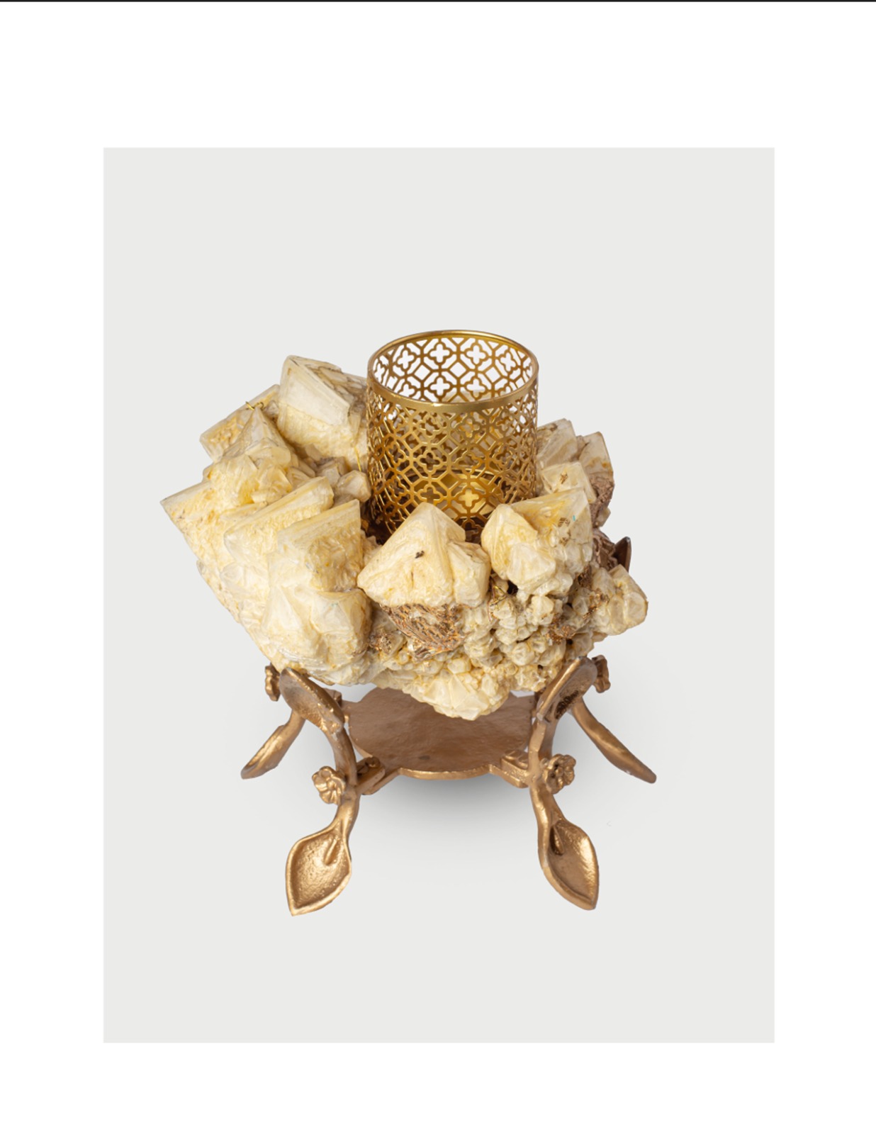 WhatsApp Image 2026-01-27 at 10.59