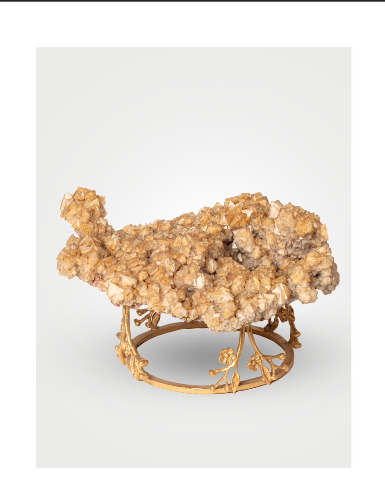 WhatsApp Image 2026-01-27 at 10.59