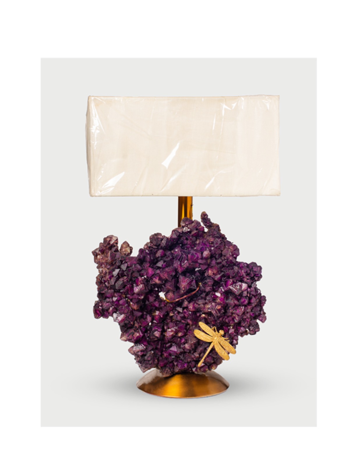 WhatsApp Image 2026-01-27 at 10.59