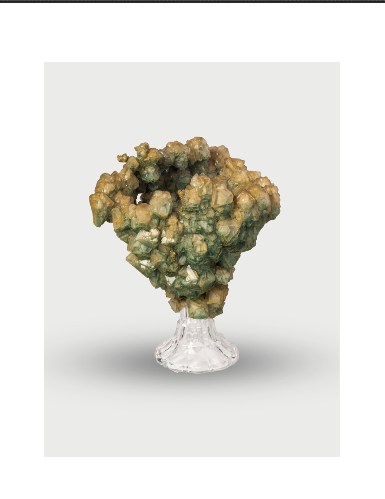 WhatsApp Image 2026-01-27 at 10.59