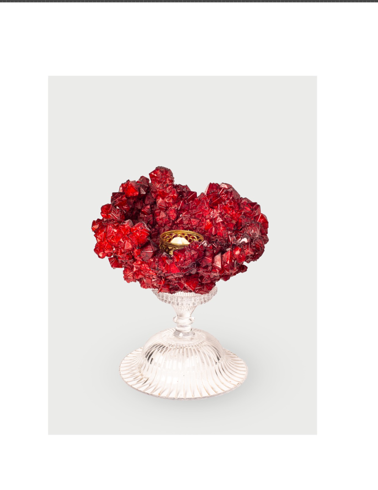 WhatsApp Image 2026-01-27 at 10.59