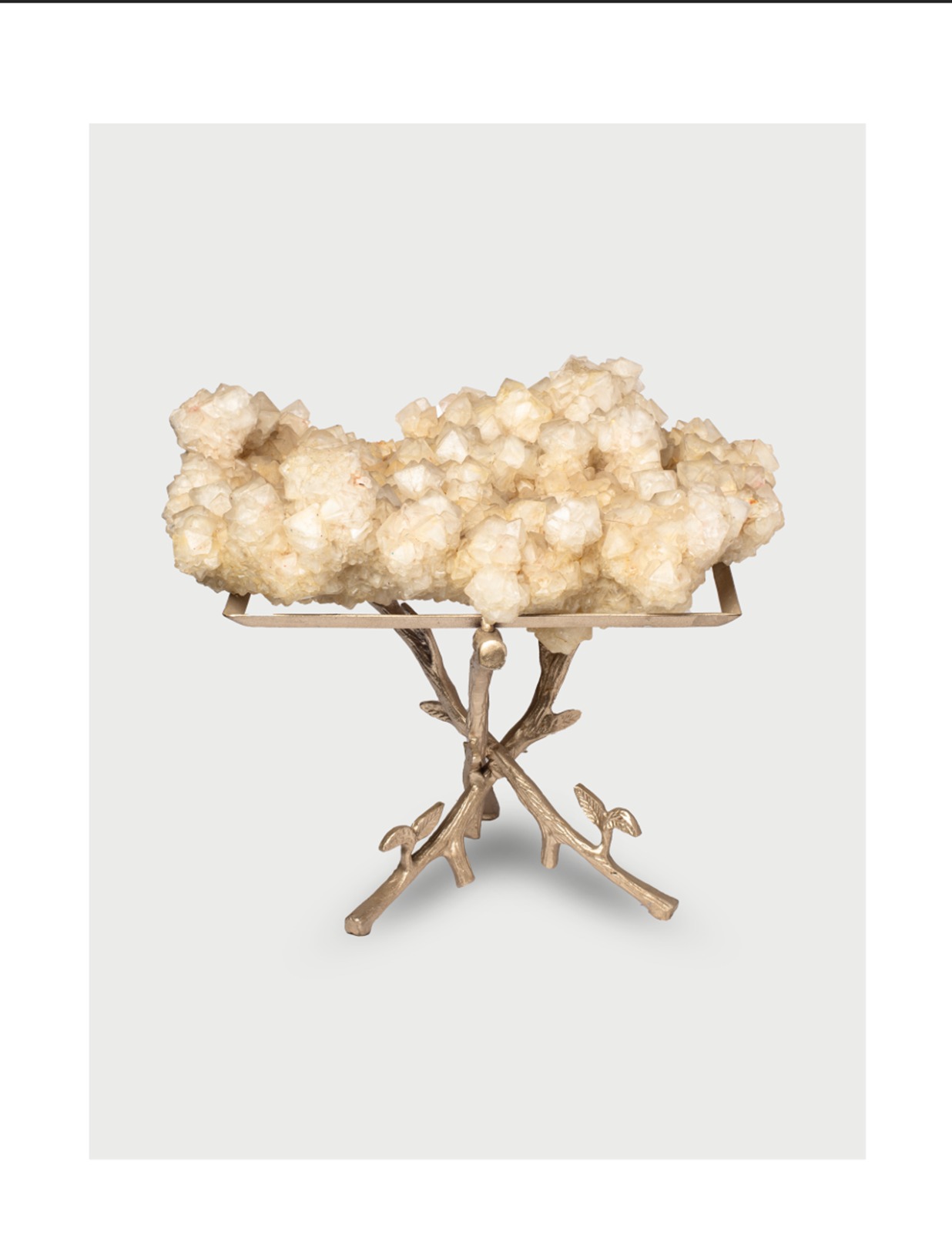 WhatsApp Image 2026-01-27 at 10.59